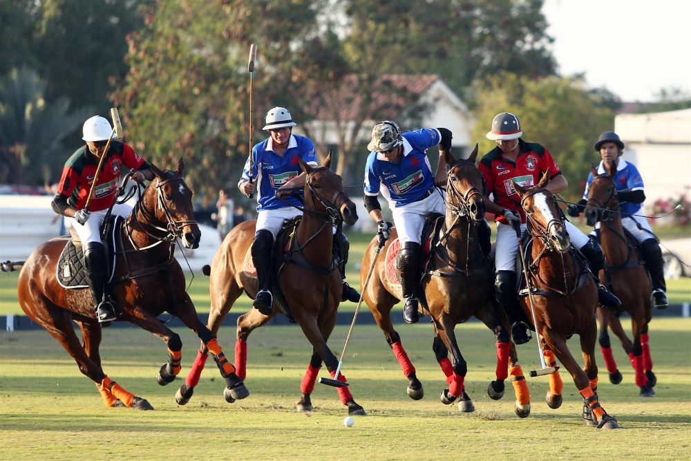 polo ghantoot polo club family fun day the polo magazine polo photos 9