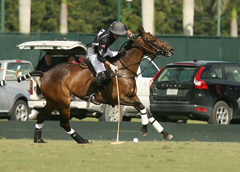 polo magazine international polo club alex pacheco polo photos audi polo team 1