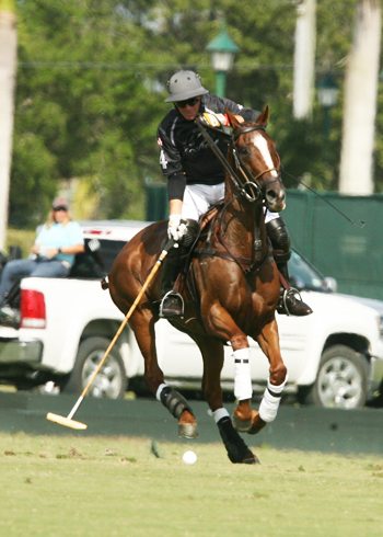 polo magazine international polo club alex pacheco polo photos audi polo team 2