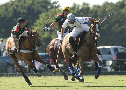 Photo Credit-Alex Pacheco