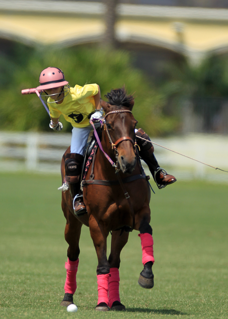 poloclub polo magazine buzwelkergrandchampions2013phelps5