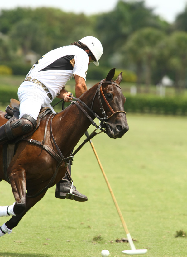 longfield eastern challenge polo tournament polo mag pacheco photos polo mag 1