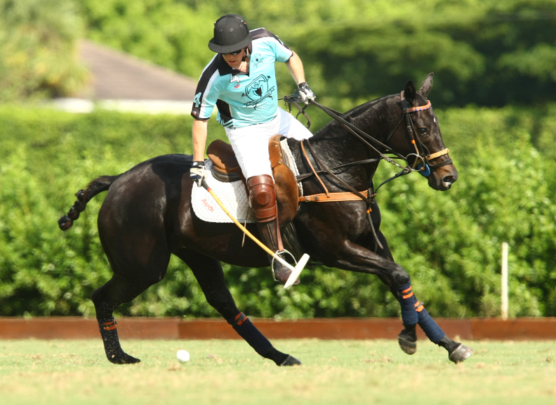 pologearfallcuppolomagazinepachecophotographypoloteams 5