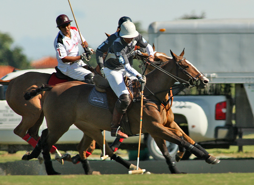 joebarrymemorialcupipcpoloclubpolomagazinepacheco 3