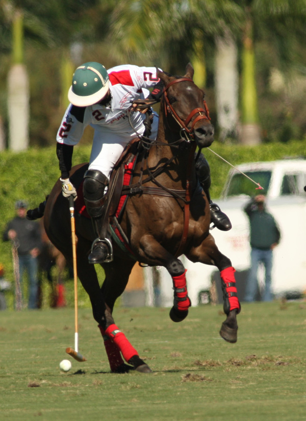 joebarrymemorialcupipcpoloclubpolomagazinepacheco 5
