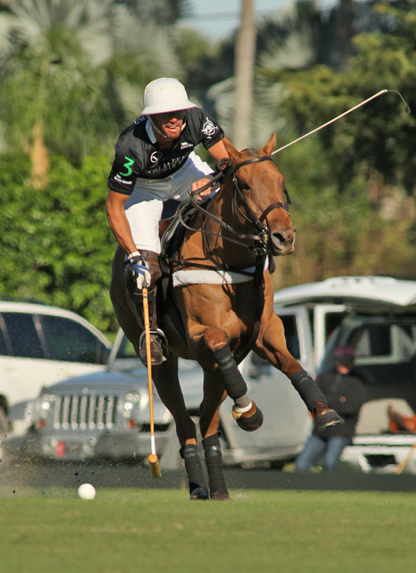 polomagazinejoebarry 7