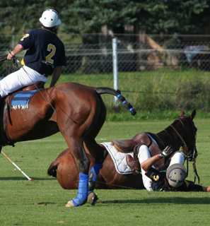 Inside Polo with Ron Allen