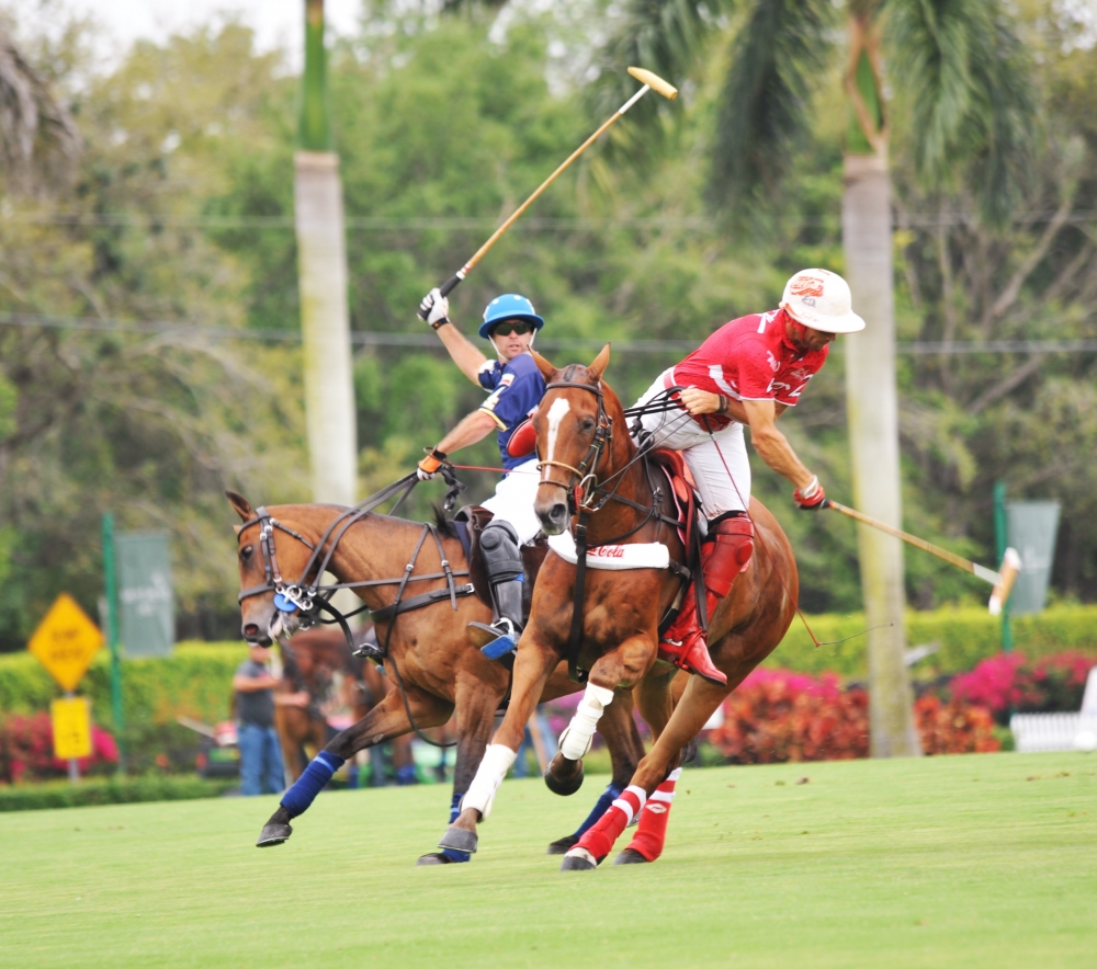 Coca cola V Lucchese
