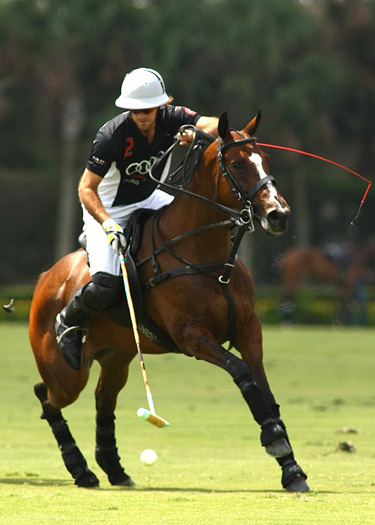 alex pacheco polo photos polo magazine us open polo florida audi zorzal 5