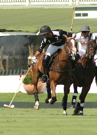 polomagusopensemi zacara erg polo team florida ipc 5