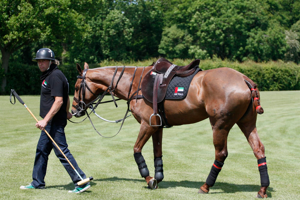 polo photos 2013 queens cup uk polo magazine celine 10