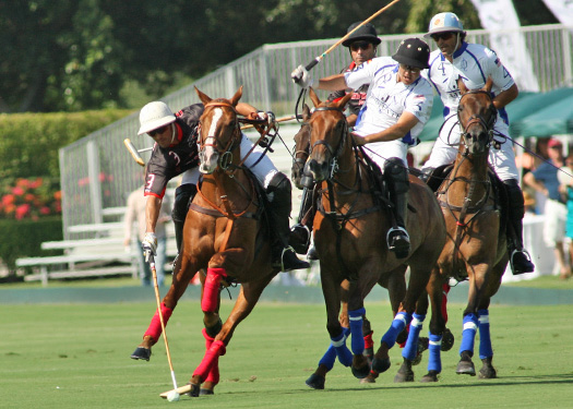 polomagazineusopenpolochampionshipsvalienteorchardhillpachecophotos 3