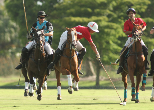 youth polo tournament polo magazine polo mag grand champions photos pacheco 5